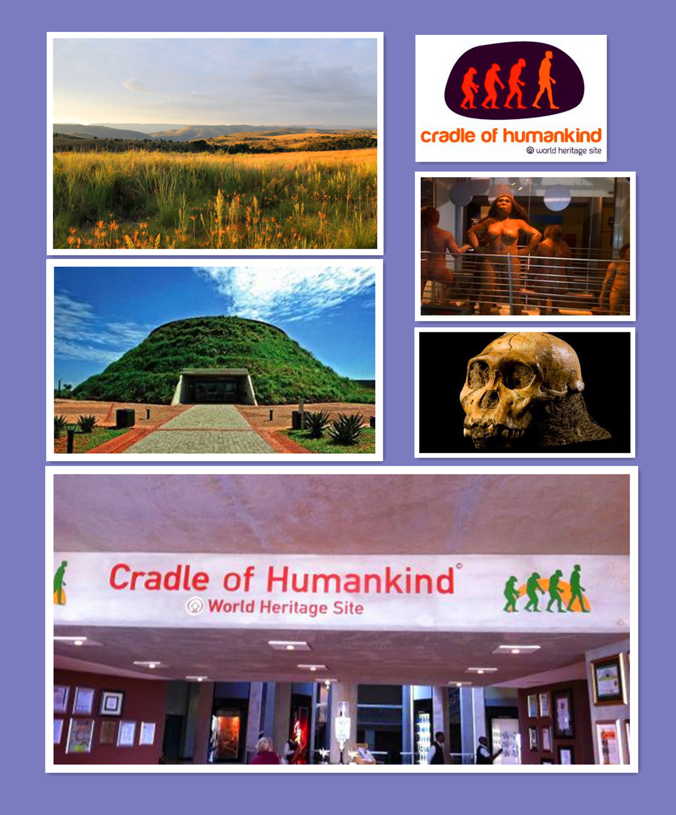 cradle-of-humankind-south-africa.jpg